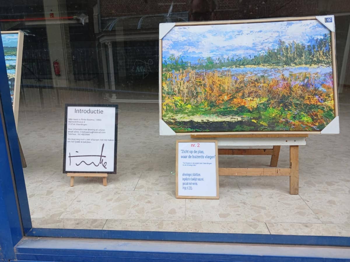 Etalage van De Scheidslijn met kleurrijke impressies